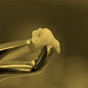 Oral Surgery